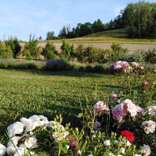 Purificazione di primavera